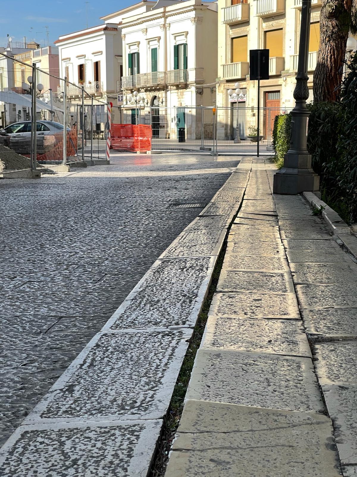 Pini mediterranei e infrastrutture urbane a Canosa: è il momento di affrontare il problema?